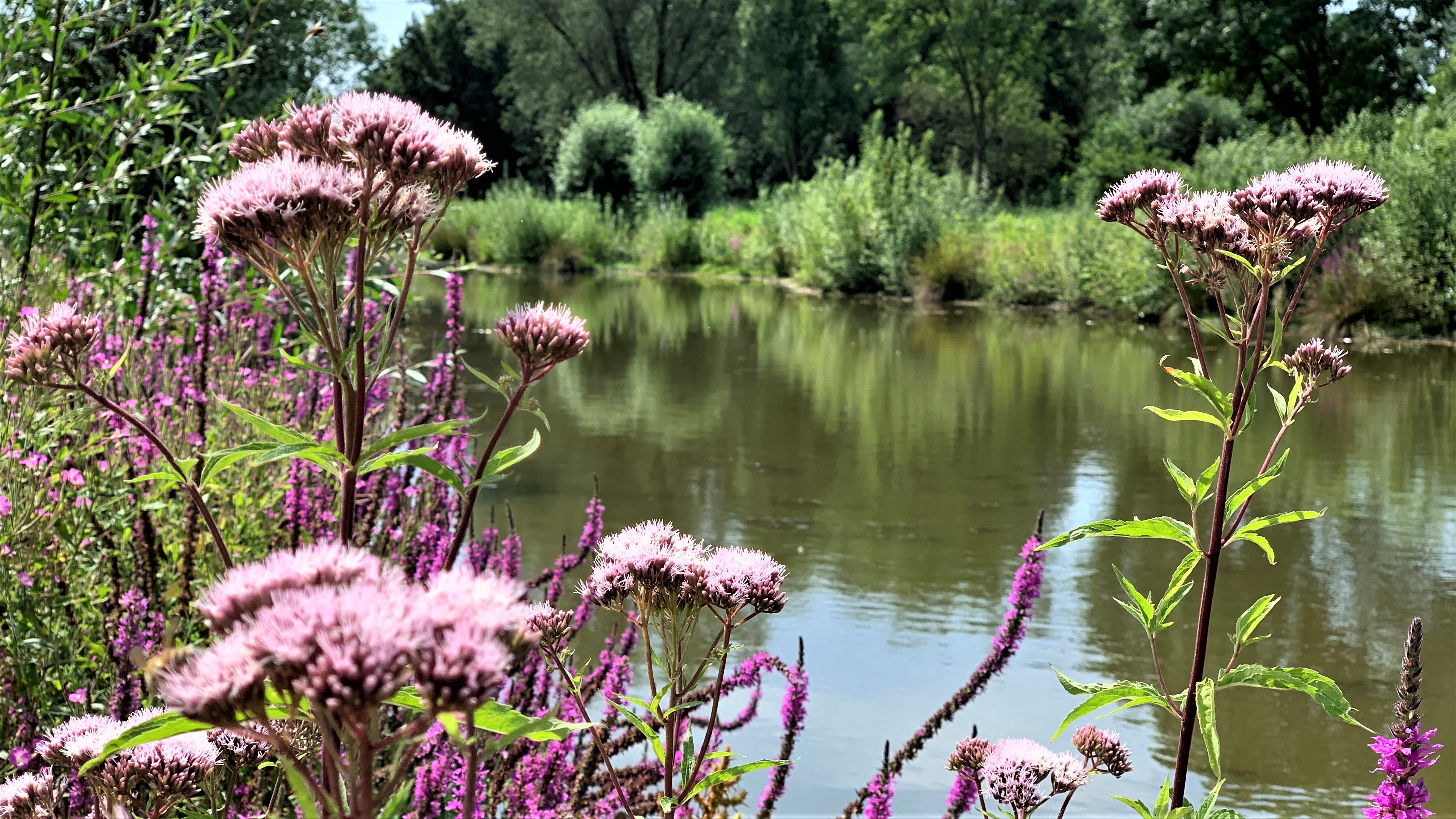 HEIMAT 1